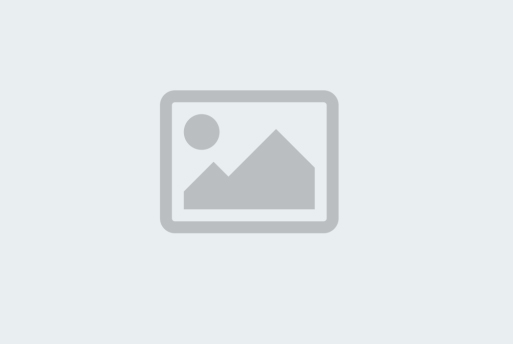 م . پرورش گلهای بریده و گلدانی _ آمل _ پائیز 04